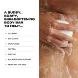 The Nudist Exfoliating Body Bar