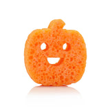 Pumpkin Spice Pumpkin