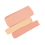 Secret Camouflage Complexion Perfector