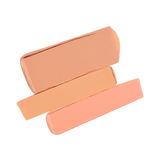 Secret Camouflage Complexion Perfector