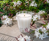 Indian Jasmine Classic Candle