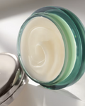 The Lip Balm