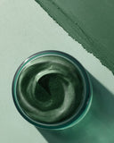 Deep Purifying Mask