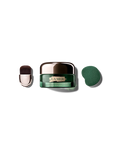 Deep Purifying Mask