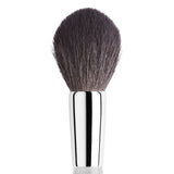 Brush 37 Bronzer