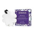 BLACKBERRY | BOXED FLOWER