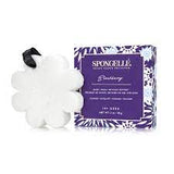 BLACKBERRY | BOXED FLOWER