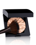 Fan Powder Brush
