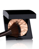 Fan Powder Brush